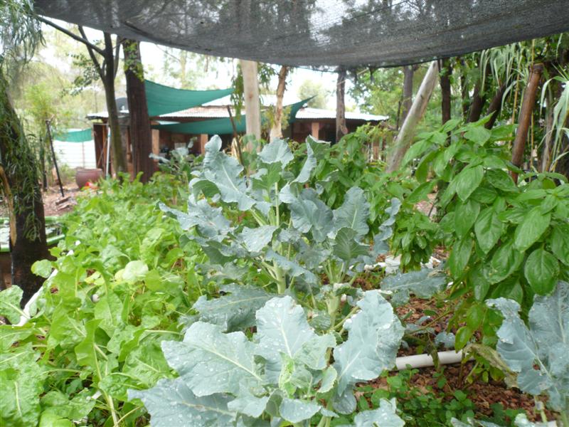 1st GB 049 (Medium).jpg