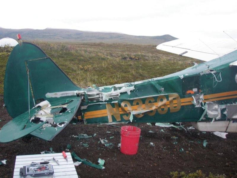 untitled (Medium).jpg