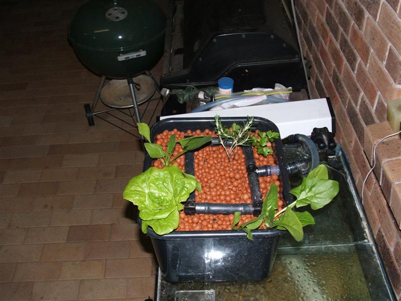 DSCF2327 (Medium).JPG