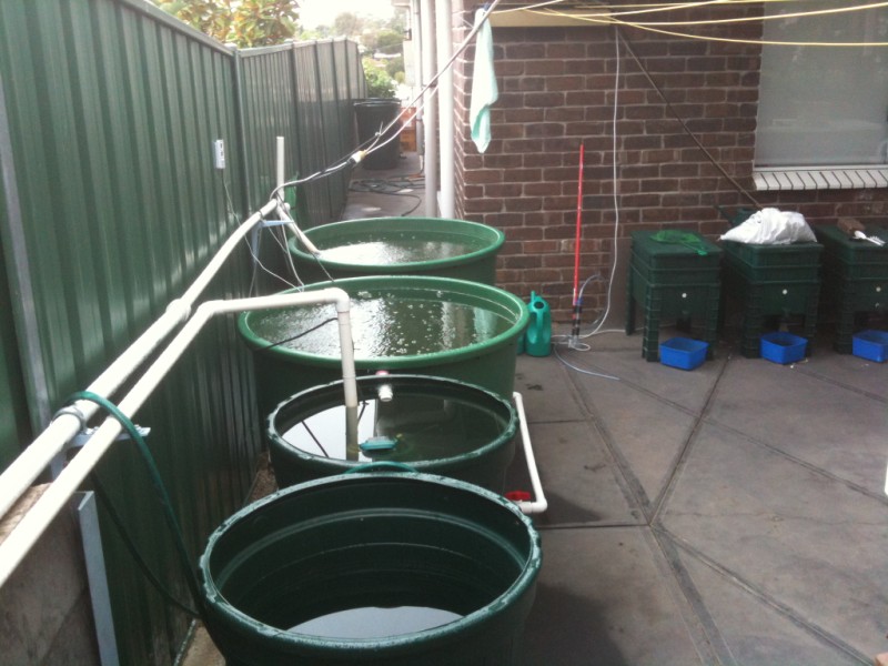 IMG_0469 (800 x 600).jpg