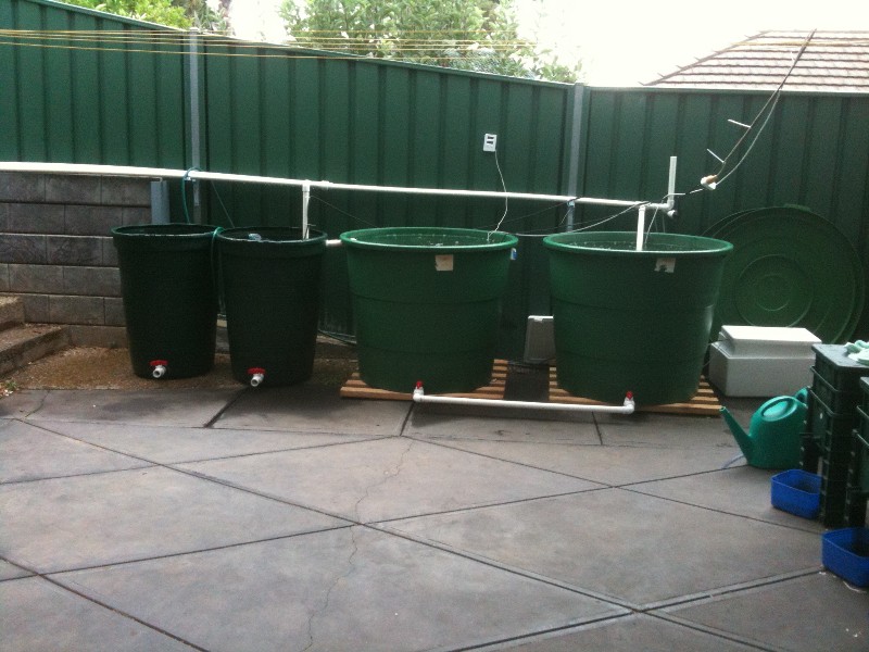 IMG_0467 (800 x 600).jpg