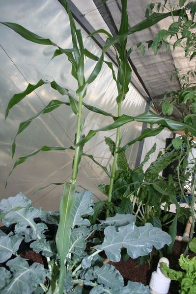 new pics 053small.jpg