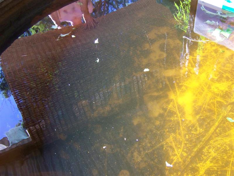 100_3764 (Medium).JPG