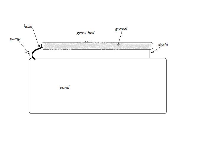 pond system.jpg