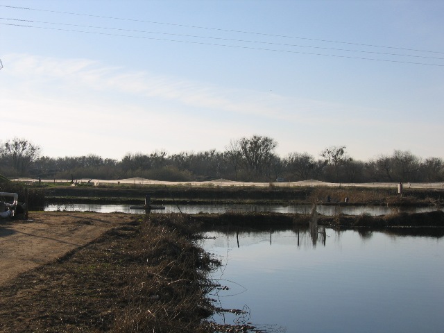 fish farm 2.jpg