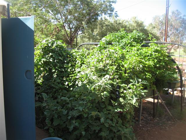 9 March 2010 001 (Small).jpg