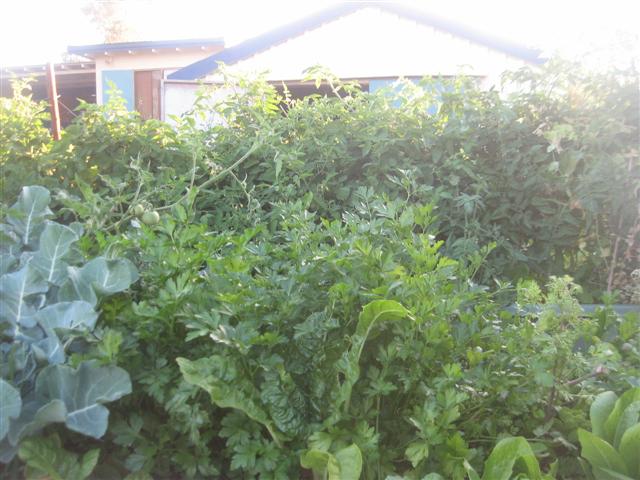 4 september next project 002 (Small).jpg