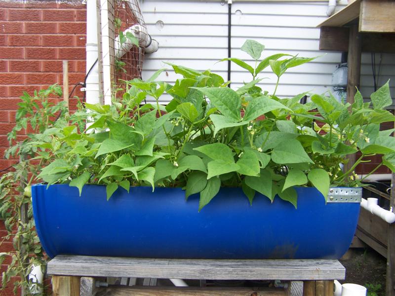 100_2445 (Medium).JPG