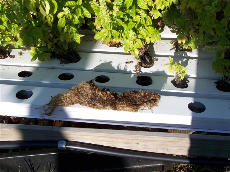 100_4491 (Medium).JPG