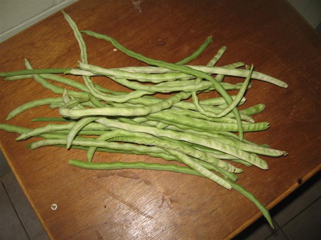 17 March 001 (Small).jpg