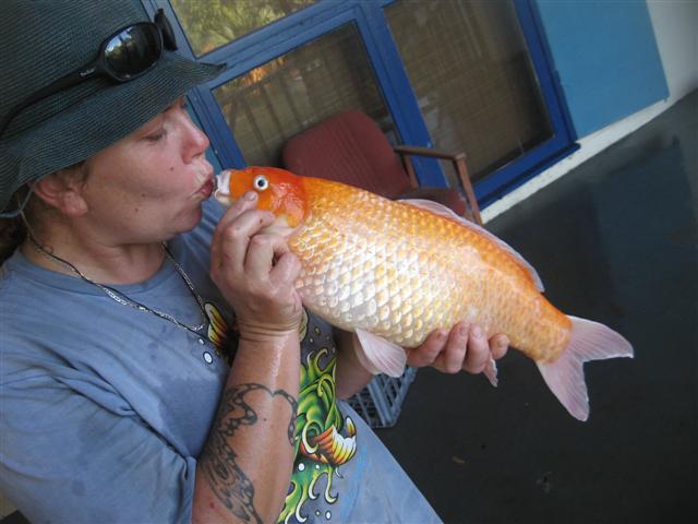 bad bad day in onslow 001 (Small).jpg