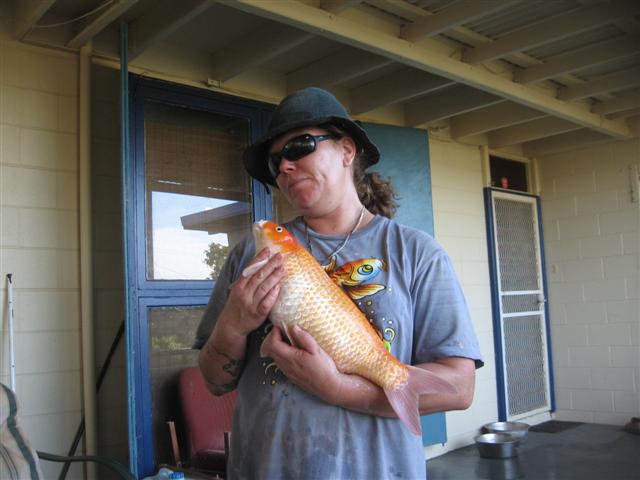 bad bad day in onslow 006 (Small).jpg