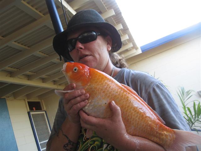 bad bad day in onslow 008 (Small).jpg