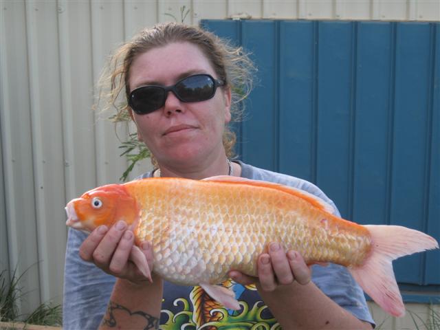 bad bad day in onslow 016 (Small).jpg