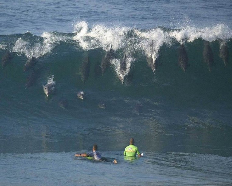 made the heart jump.jpg