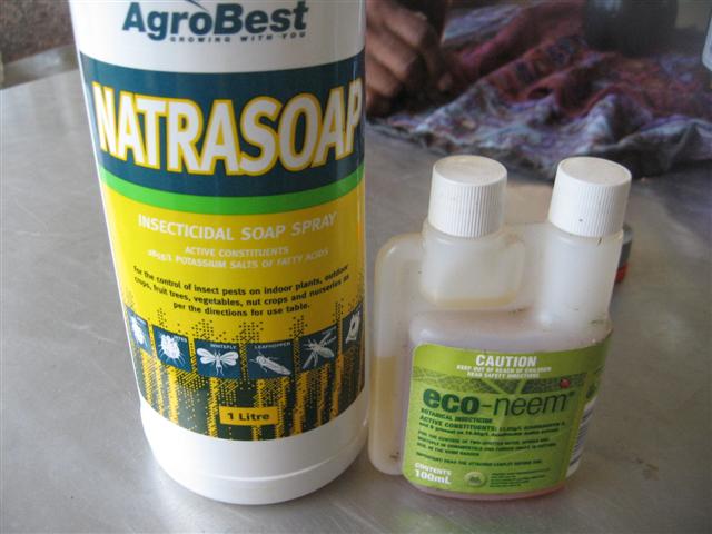 bad bad day in onslow 017 (Small).jpg