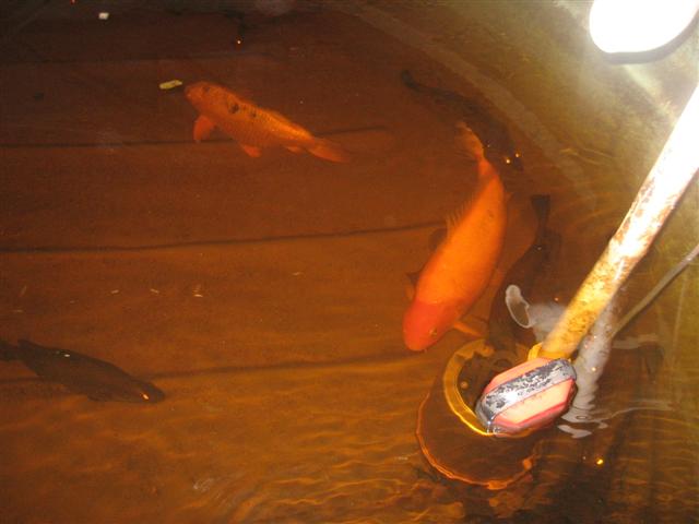 06.02.09 013 (Small).jpg