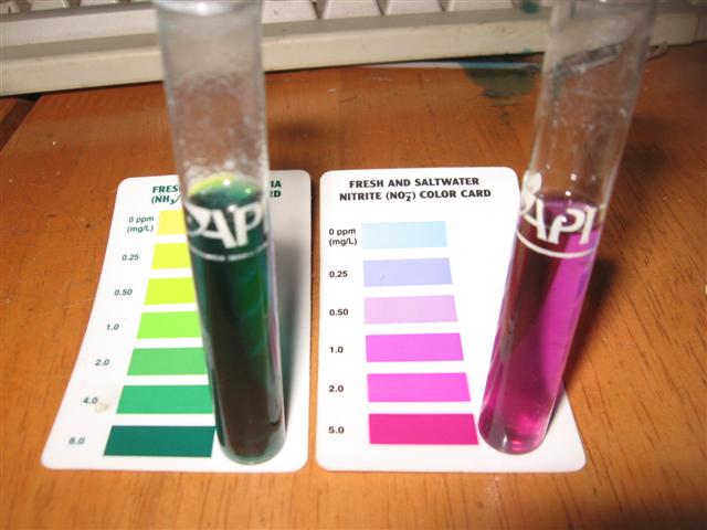 bad bad day in onslow (Small).jpg