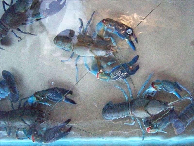 100_4495 (Medium).JPG