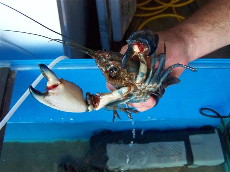 100_4496 (Medium).JPG