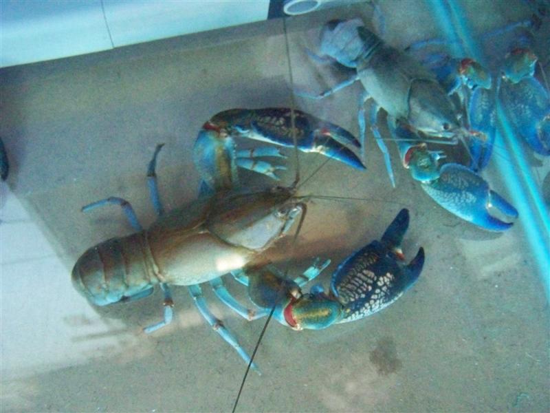 100_4498 (Medium).JPG