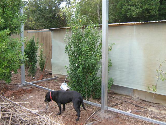 Our Aquaponics System 054 (Small).jpg