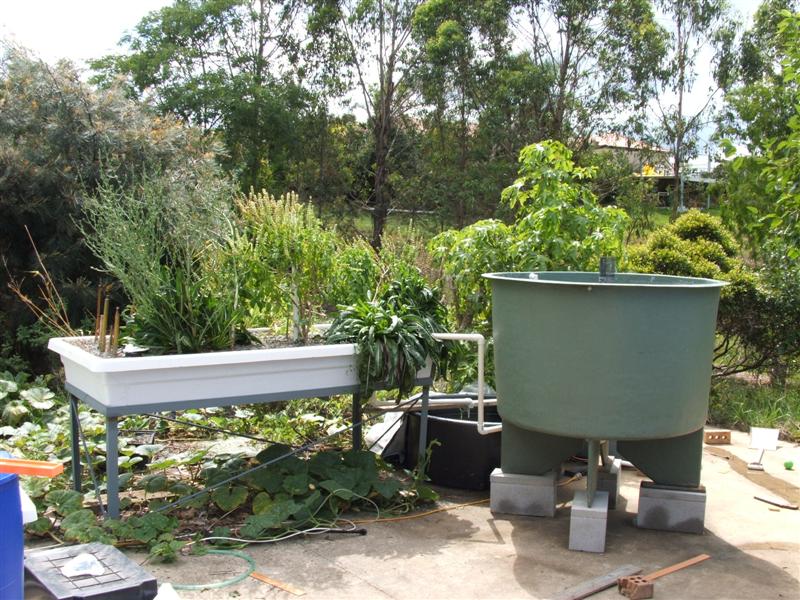 DSCF3612 (Medium).JPG