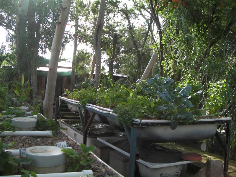 AP 24 March 2010 008 (Medium).jpg