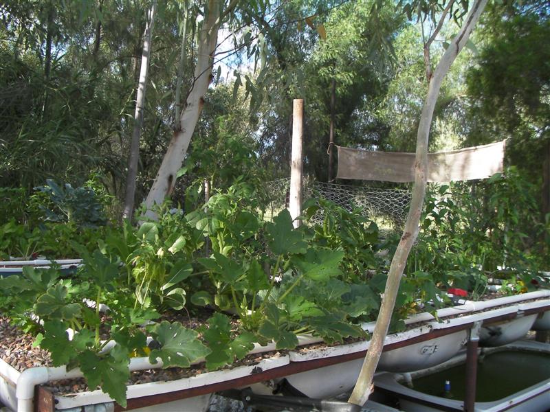 AP 24 March 2010 002 (Medium).jpg