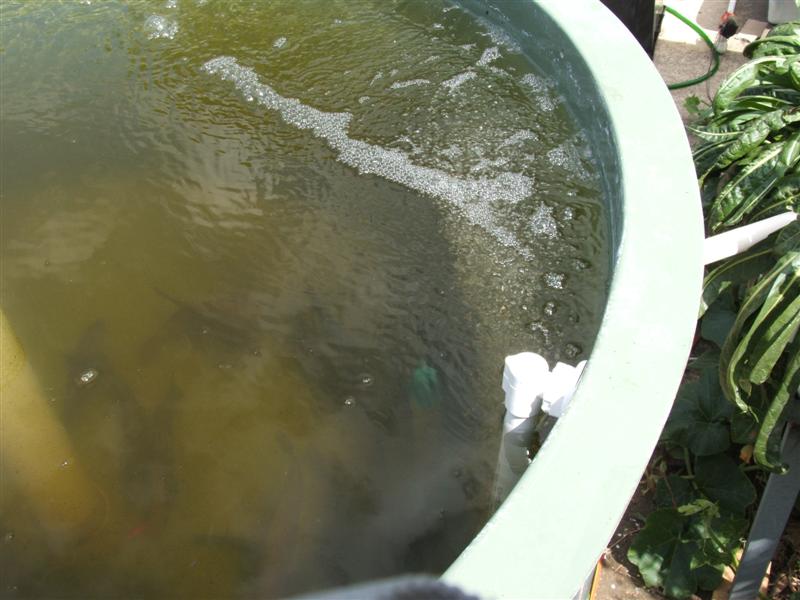 DSCF3617 (Medium).JPG