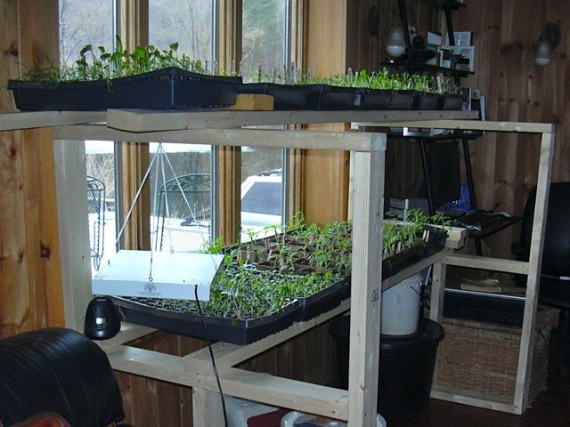 Better spot for FT.jpg