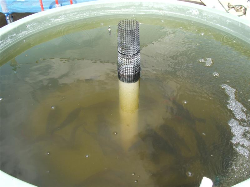 DSCF3613 (Medium).JPG