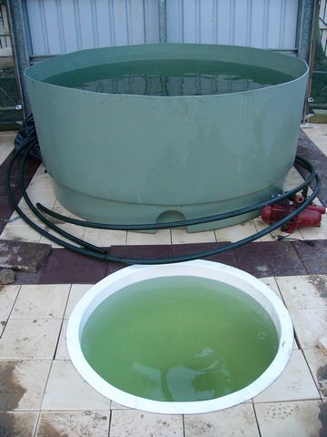 tn_ST Filled from FT.JPG