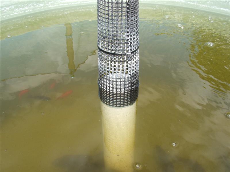 DSCF3619 (Medium).JPG