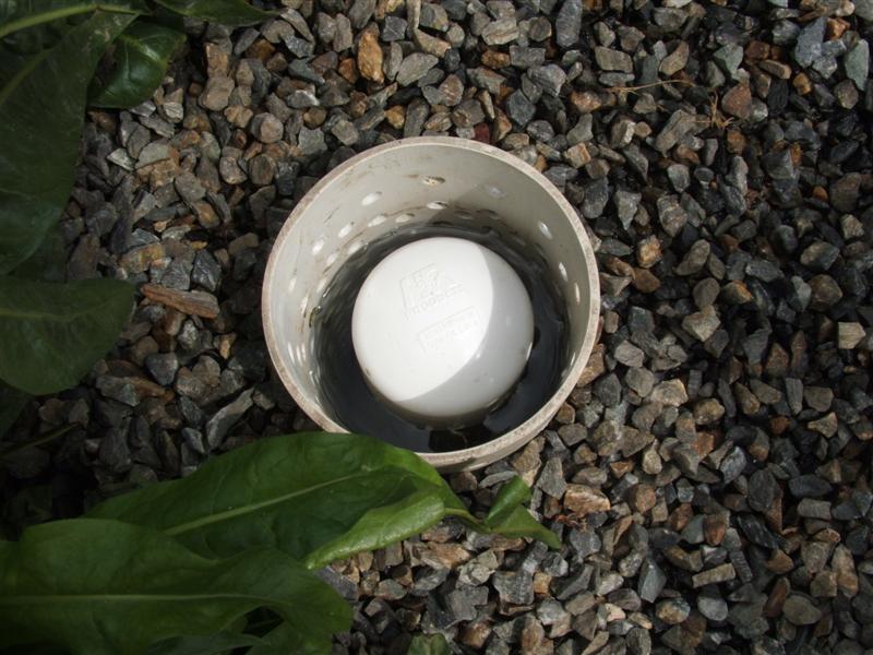 DSCF3622 (Medium).JPG