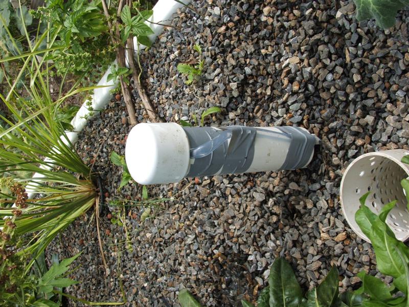 DSCF3623 (Medium).JPG