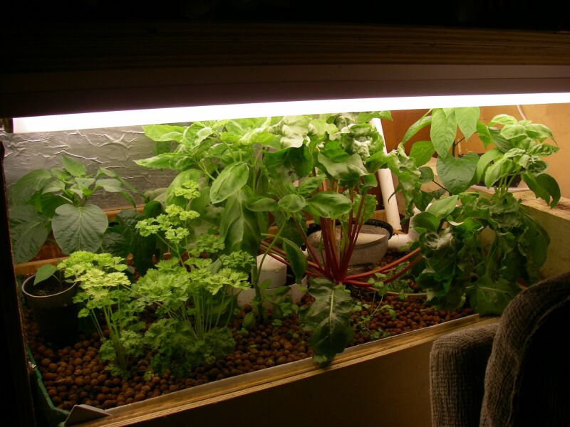 indoor March 26 2010.jpg