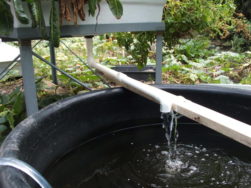 DSCF3626 (Medium).JPG