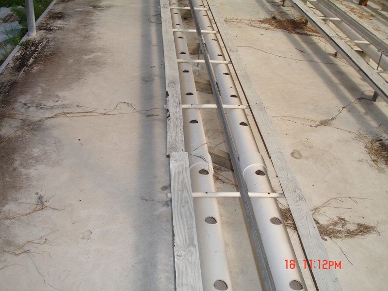 lowres nfttypical.JPG