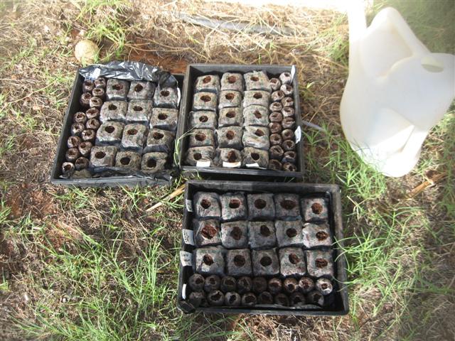 starting over....yet again 001 (Small).jpg