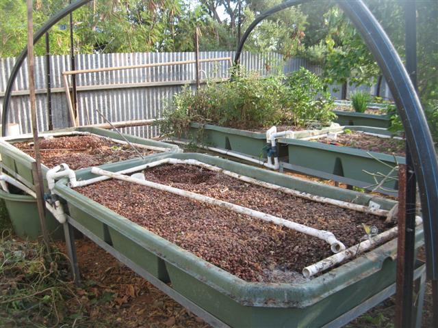 starting over....yet again 002 (Small).jpg