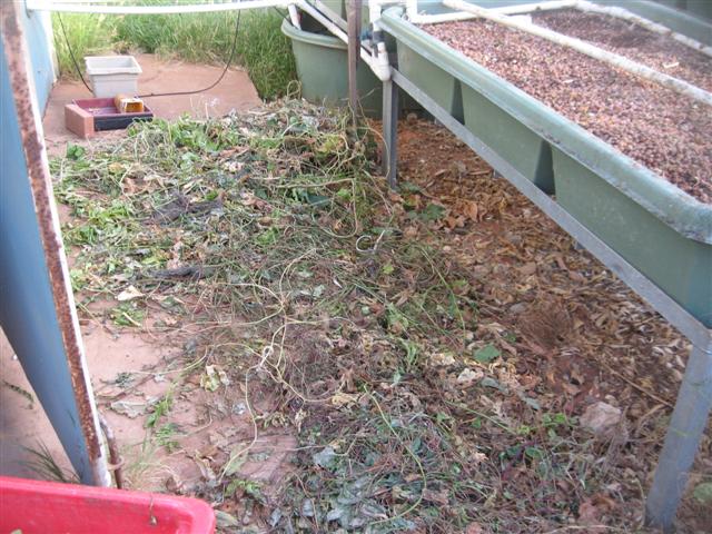 starting over....yet again 003 (Small).jpg