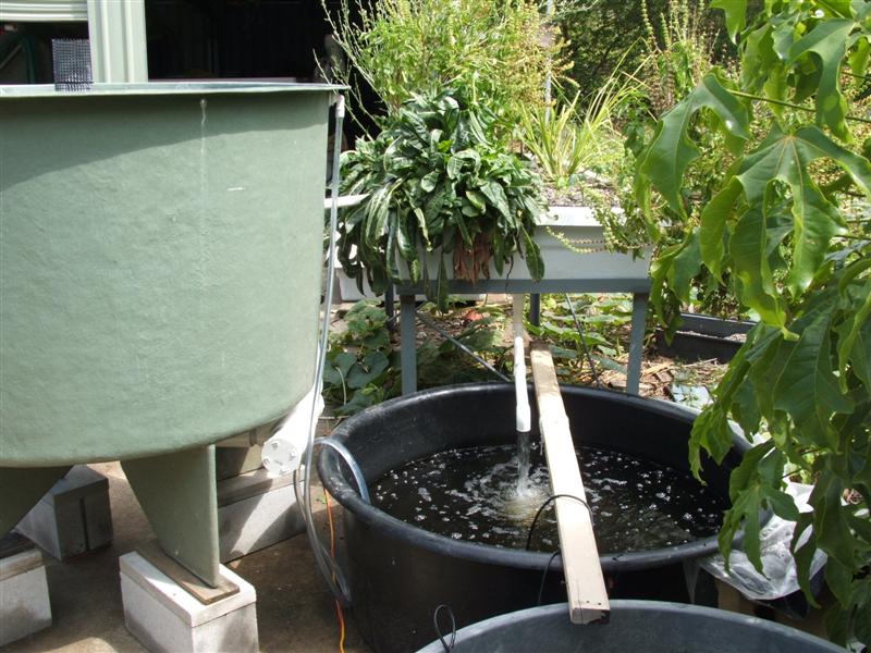 DSCF3630 (Medium).JPG