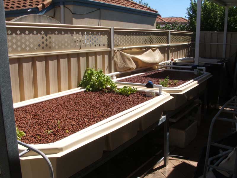 new-growbed2.jpg