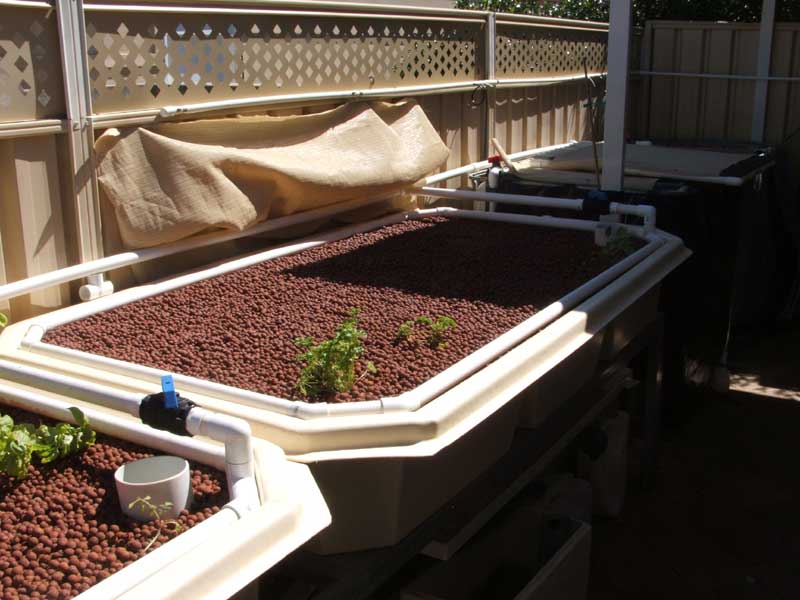 new-growbed1.jpg