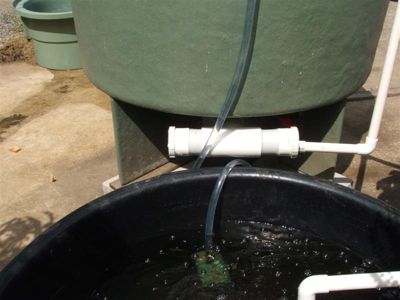 DSCF3631 (Medium).JPG