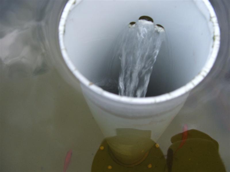 DSCF3635 (Medium).JPG