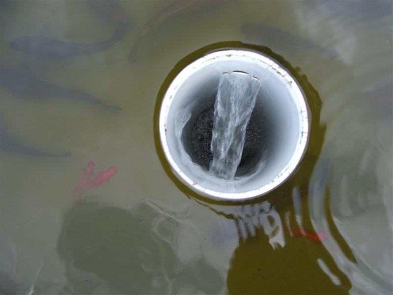 DSCF3634 (Medium).JPG