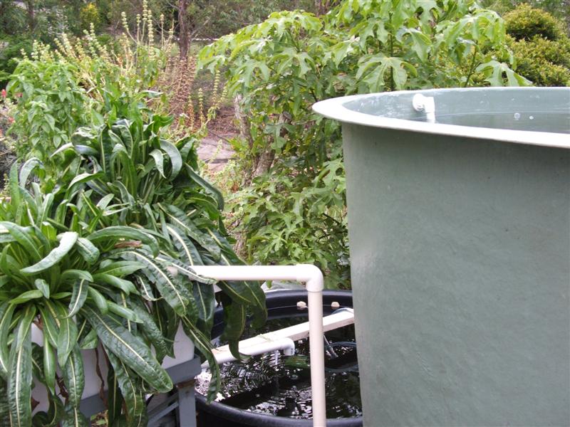 DSCF3637 (Medium).JPG