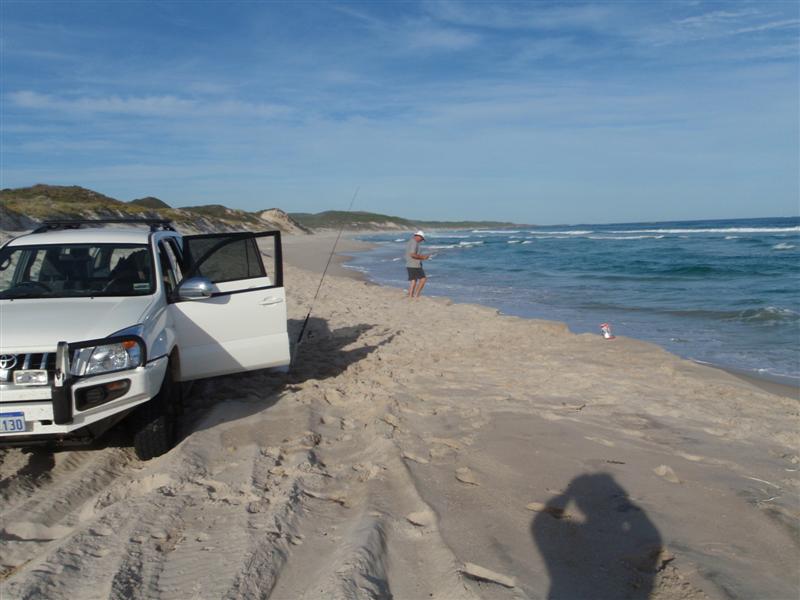 P3300427 (Medium).JPG